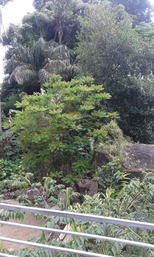 Madu Sentana House 호텔 우붓 외부 사진